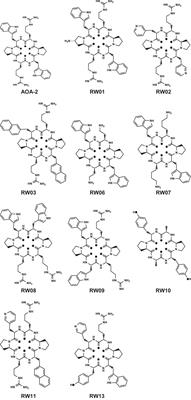 AOA-2 Derivatives as Outer Membrane Protein A Inhibitors for Treatment of Gram-Negative Bacilli Infections